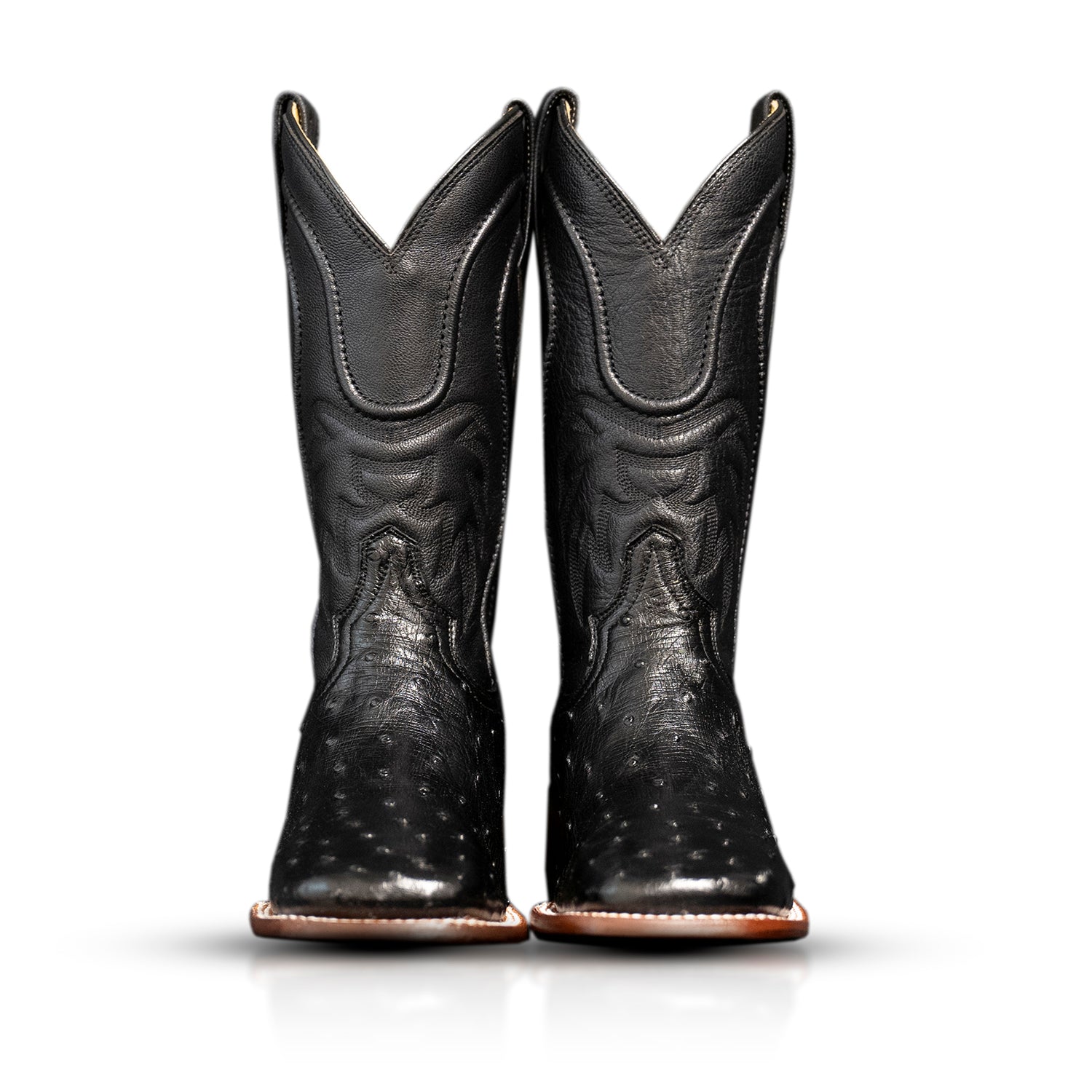 The San Jacinto | Black Ostrich