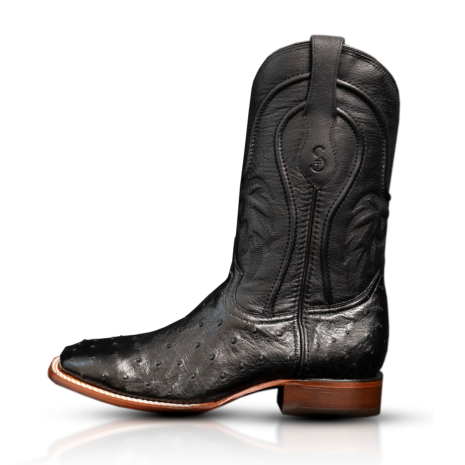 The San Jacinto | Black Ostrich