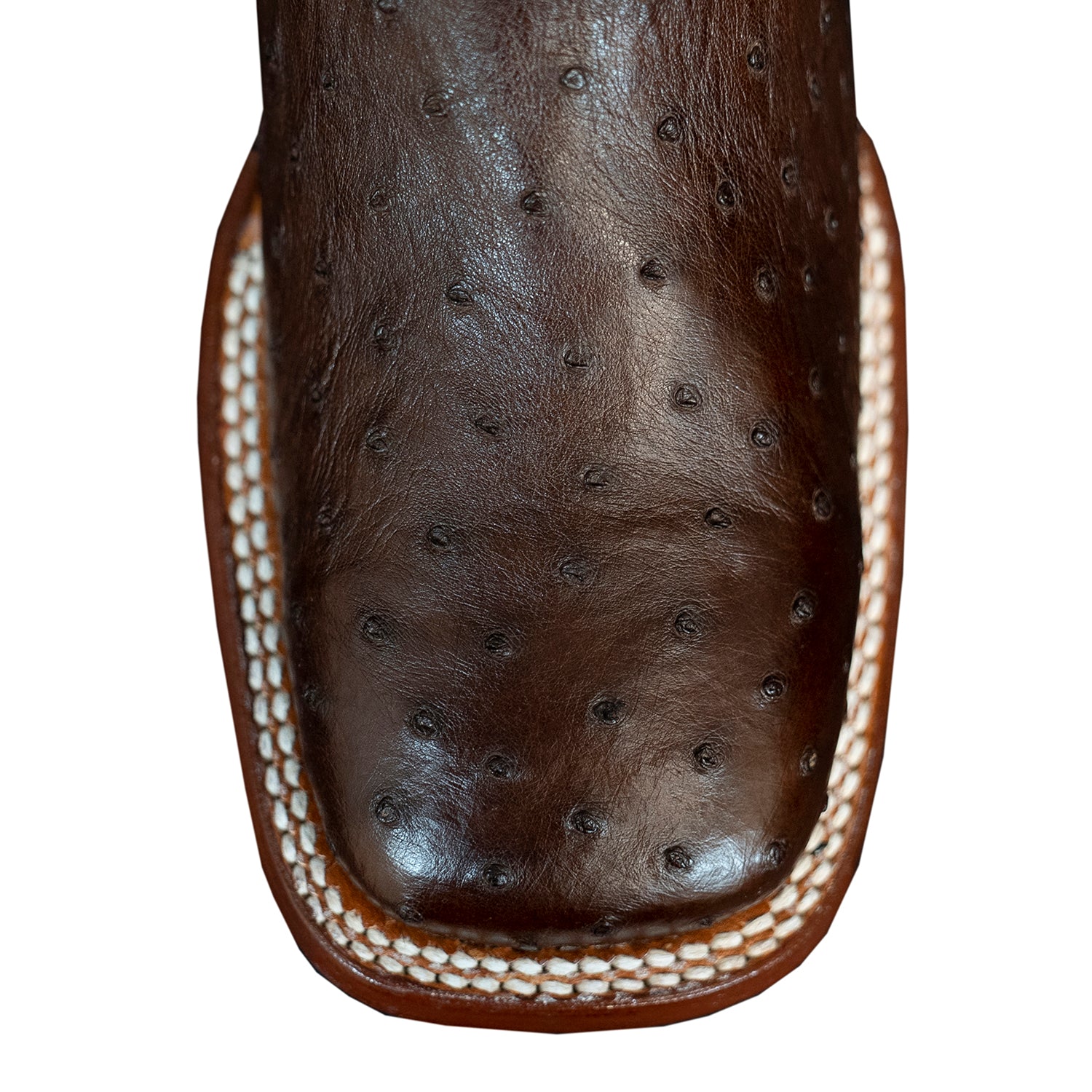 The San Jacinto | Dark Brown Ostrich