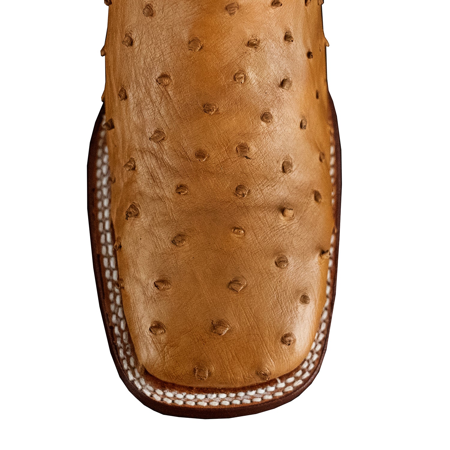 The San Jacinto | Light Brown Ostrich