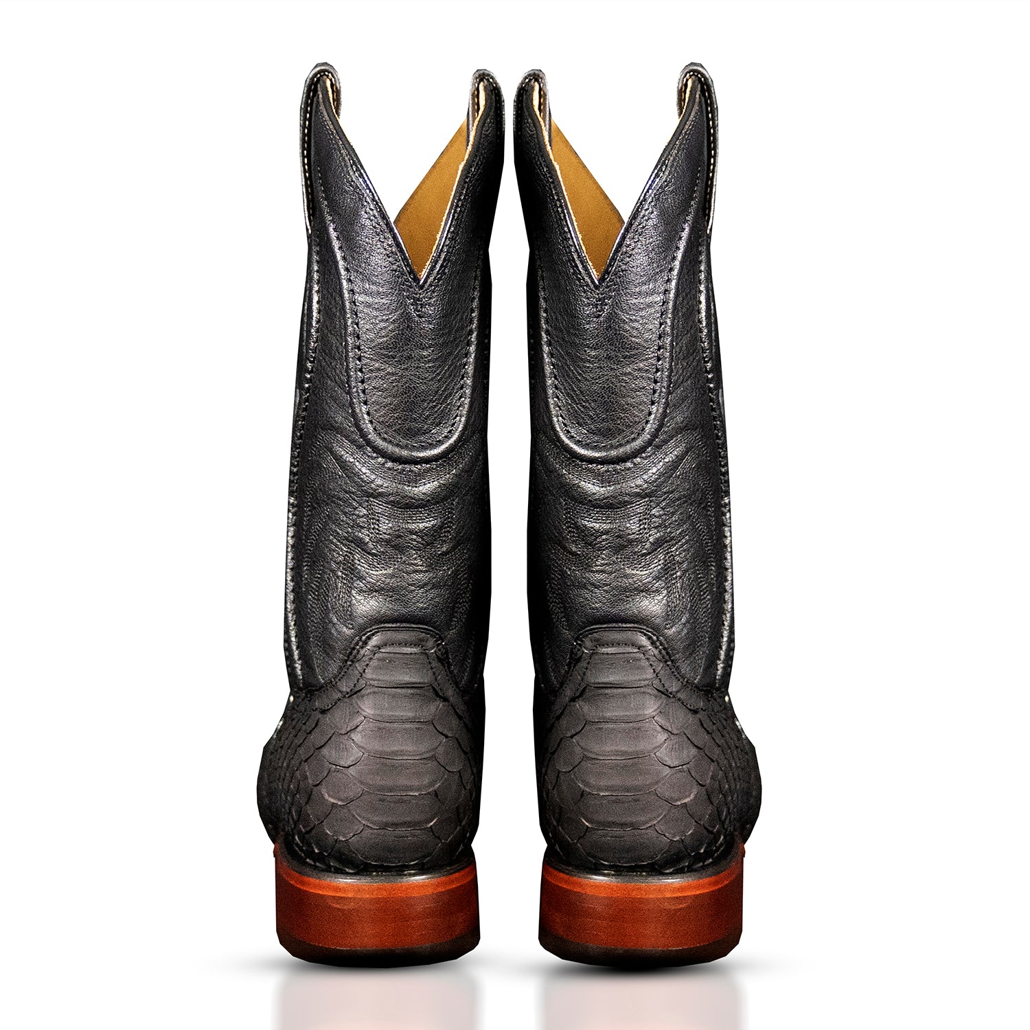 The San Jacinto | Tribute Python