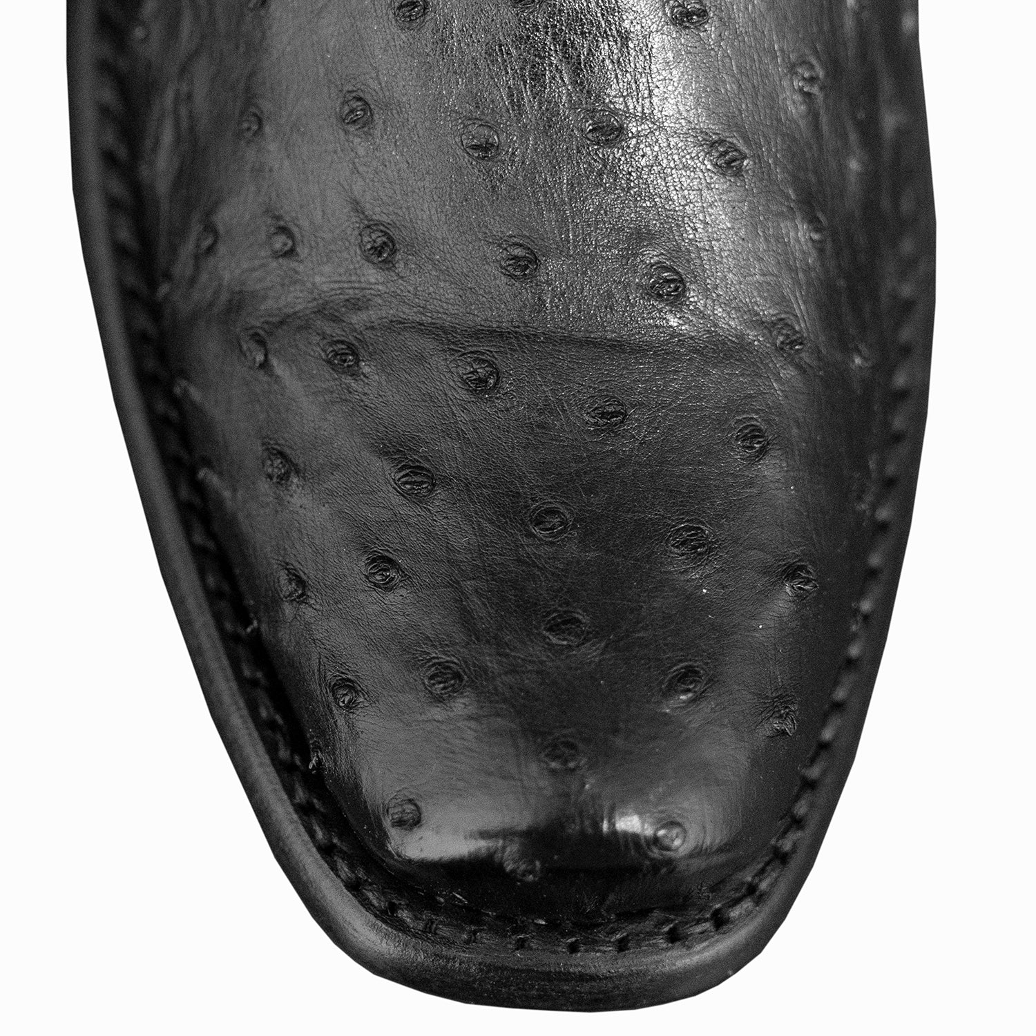 The Uptown | Black Ostrich