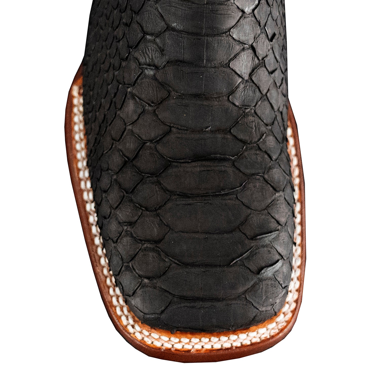 The San Jacinto | Tribute Python