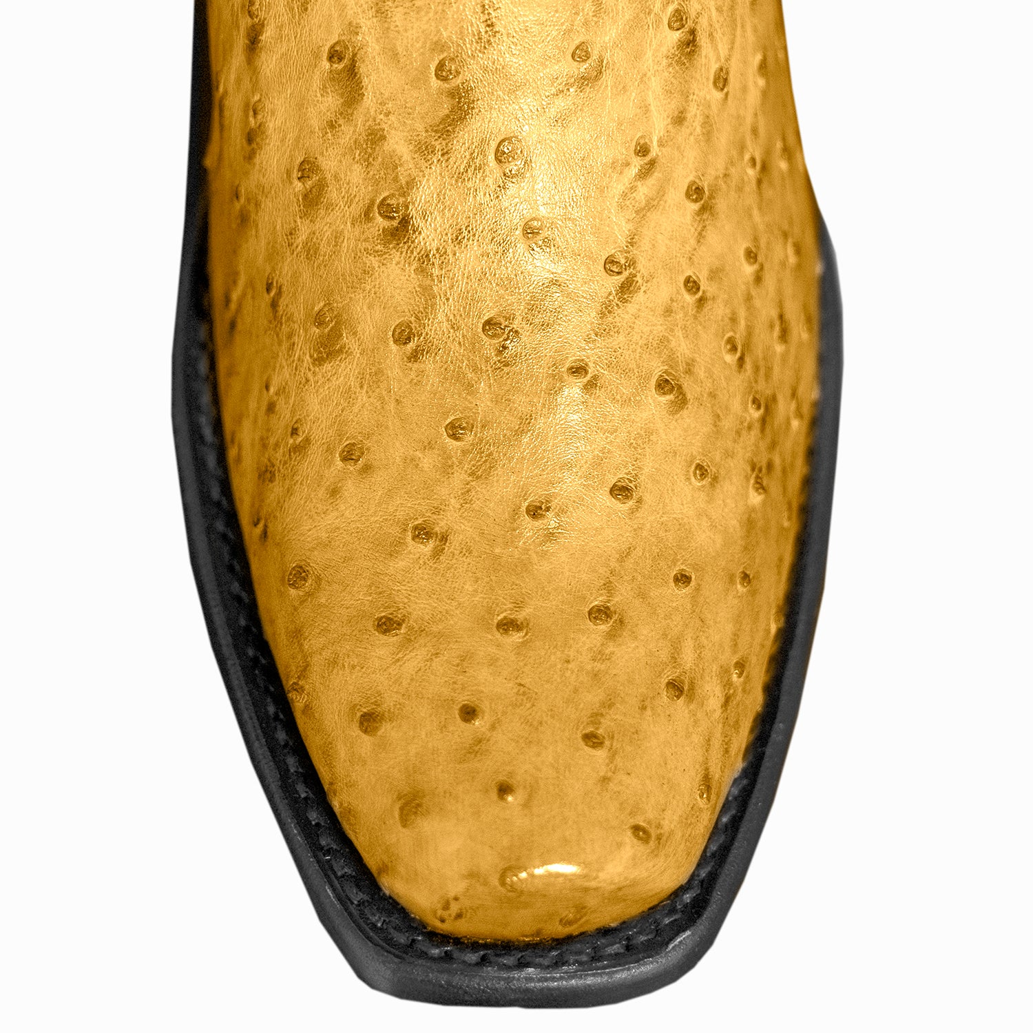 The Uptown | Ostrich Light Brown