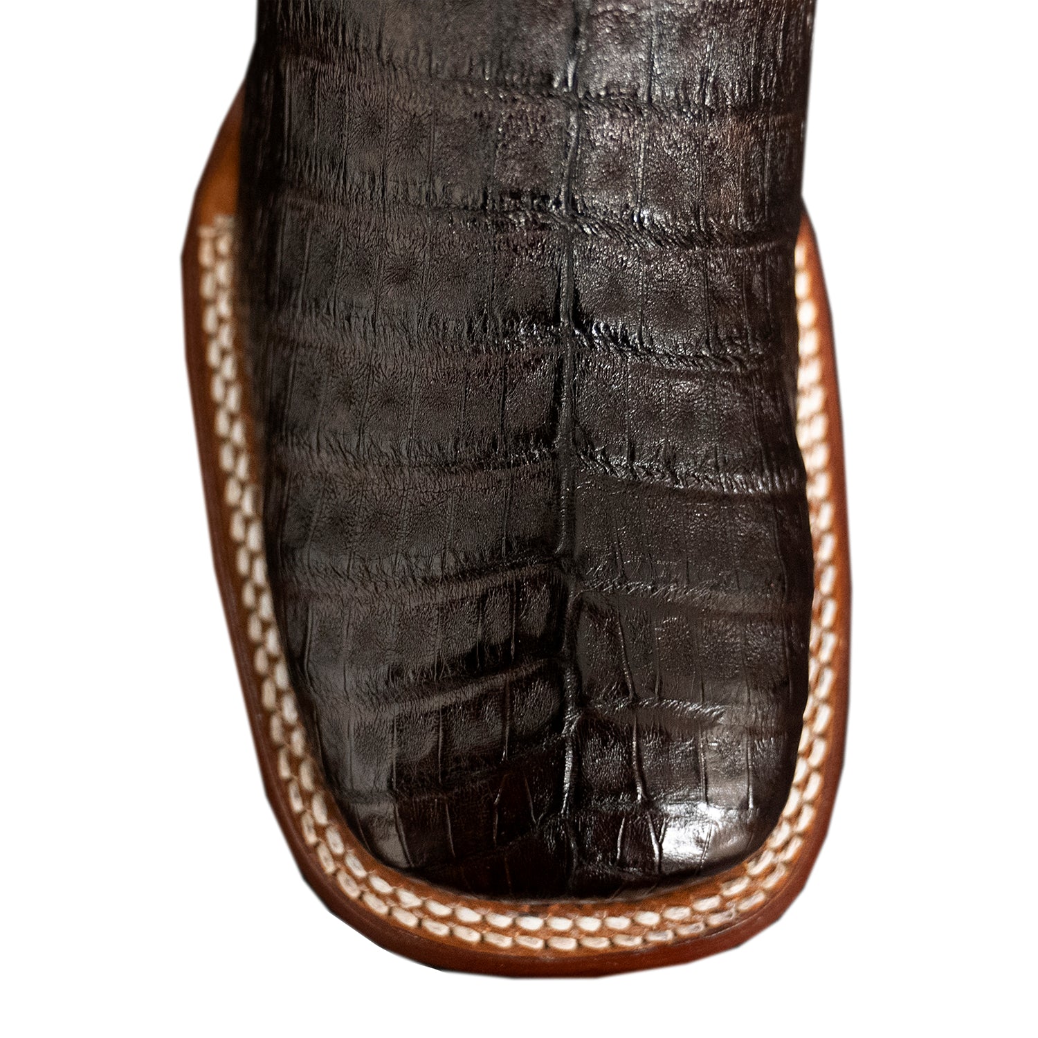The San Jacinto | Caiman Belly Elegance