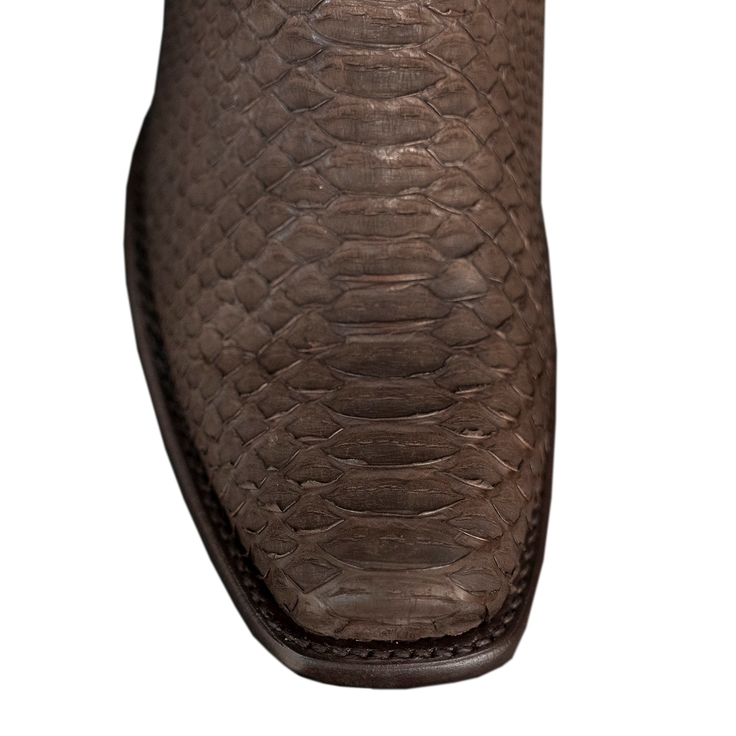 The Uptown | Dark Brown Python