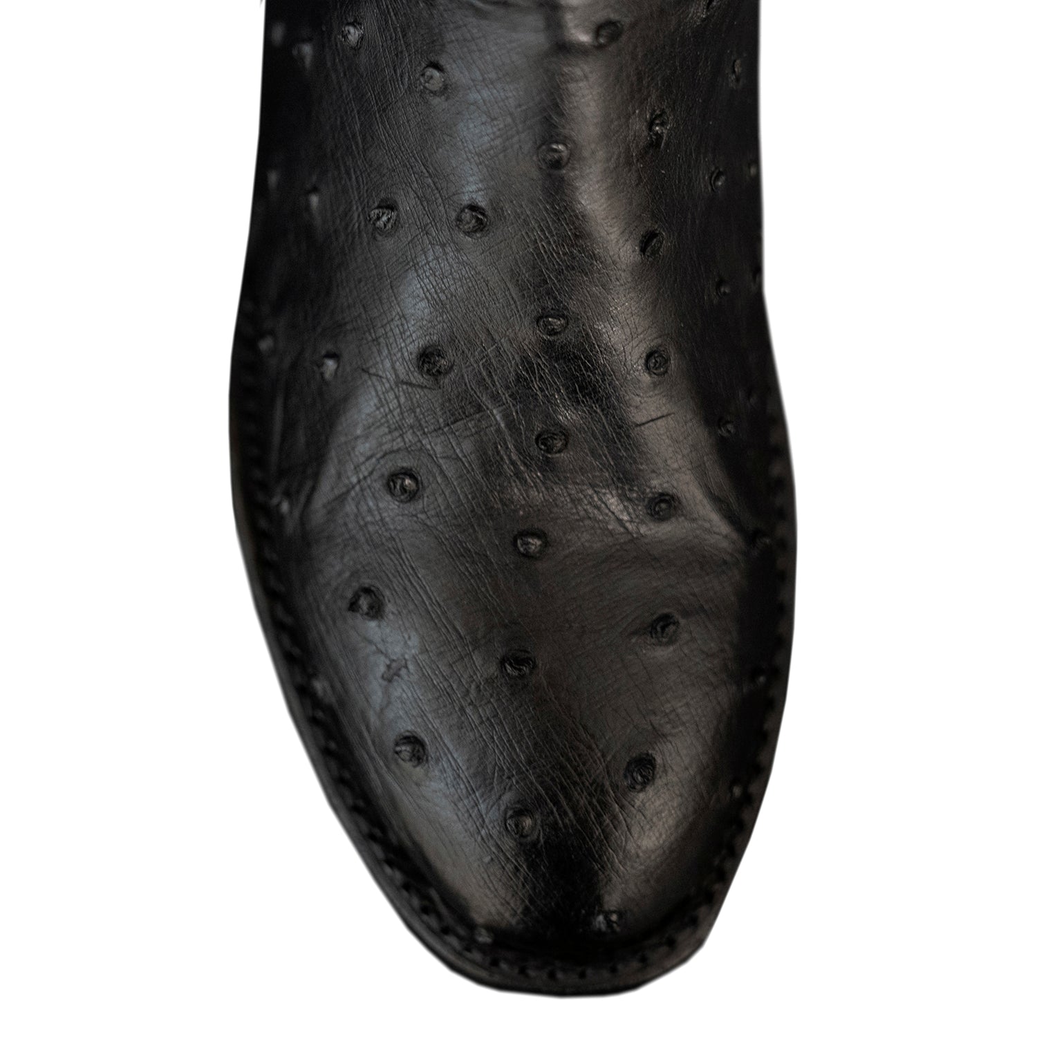 The Houstonian | Black Ostrich