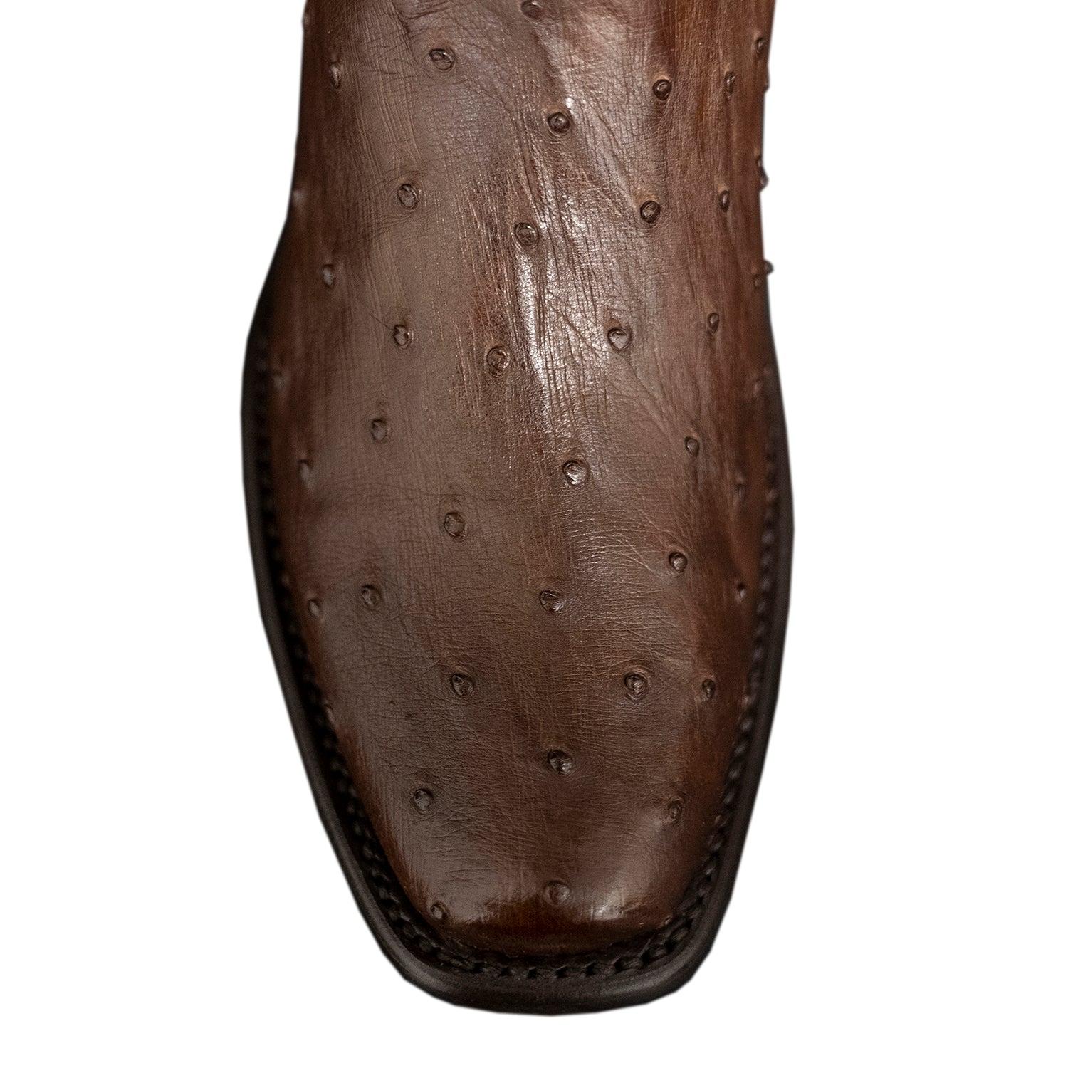 The Uptown | Dark Brown Ostrich