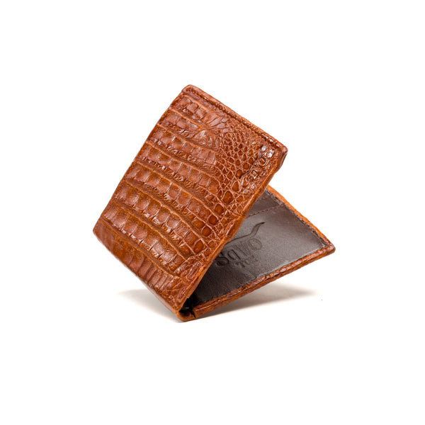 WhatsAppImage2025-08-28at12.59