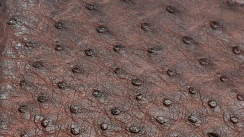 Materials Image