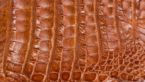 Materials Image