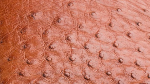 Materials Image
