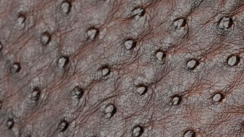 Materials Image
